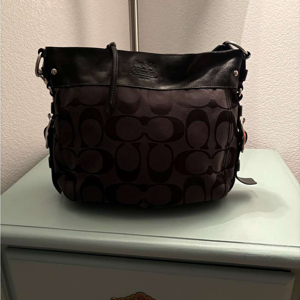 Coach Zoe Hobo Bag